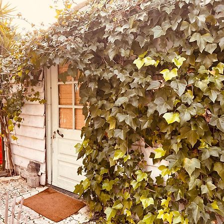 فندق Casa Rico Frade Garden São Pedro do Corval المظهر الخارجي الصورة