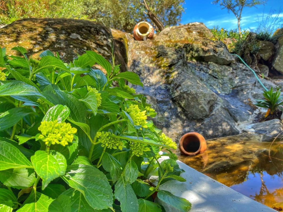فندق Casa Rico Frade Garden São Pedro do Corval المظهر الخارجي الصورة