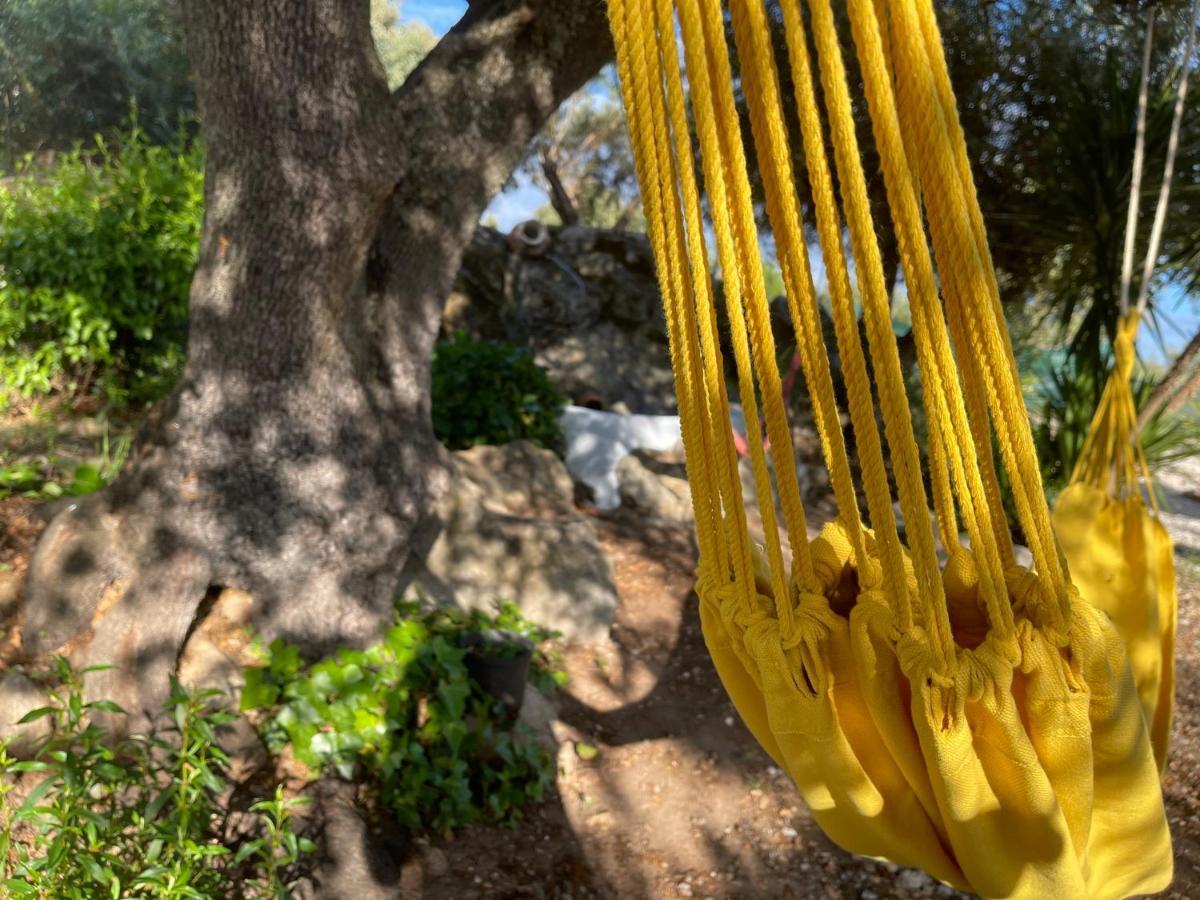 فندق Casa Rico Frade Garden São Pedro do Corval المظهر الخارجي الصورة