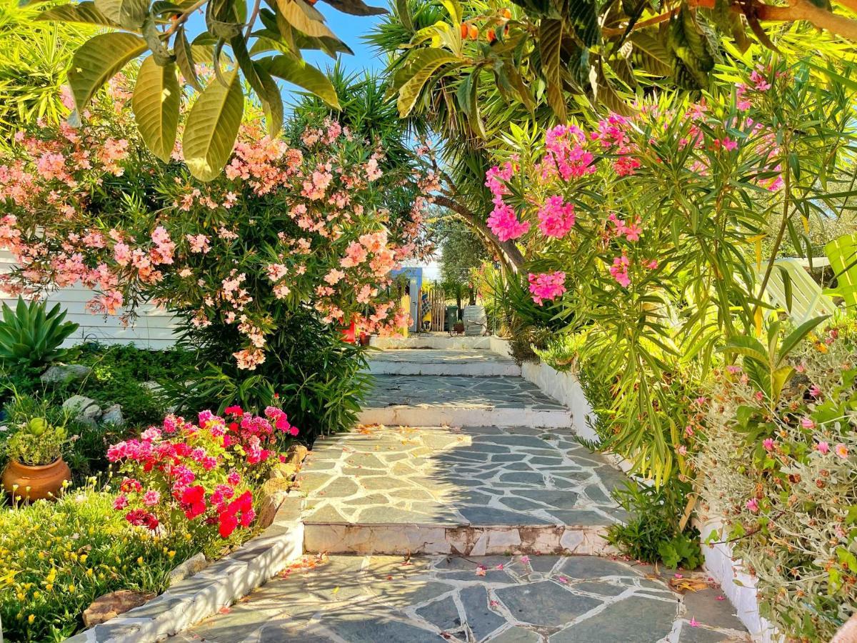 فندق Casa Rico Frade Garden São Pedro do Corval المظهر الخارجي الصورة