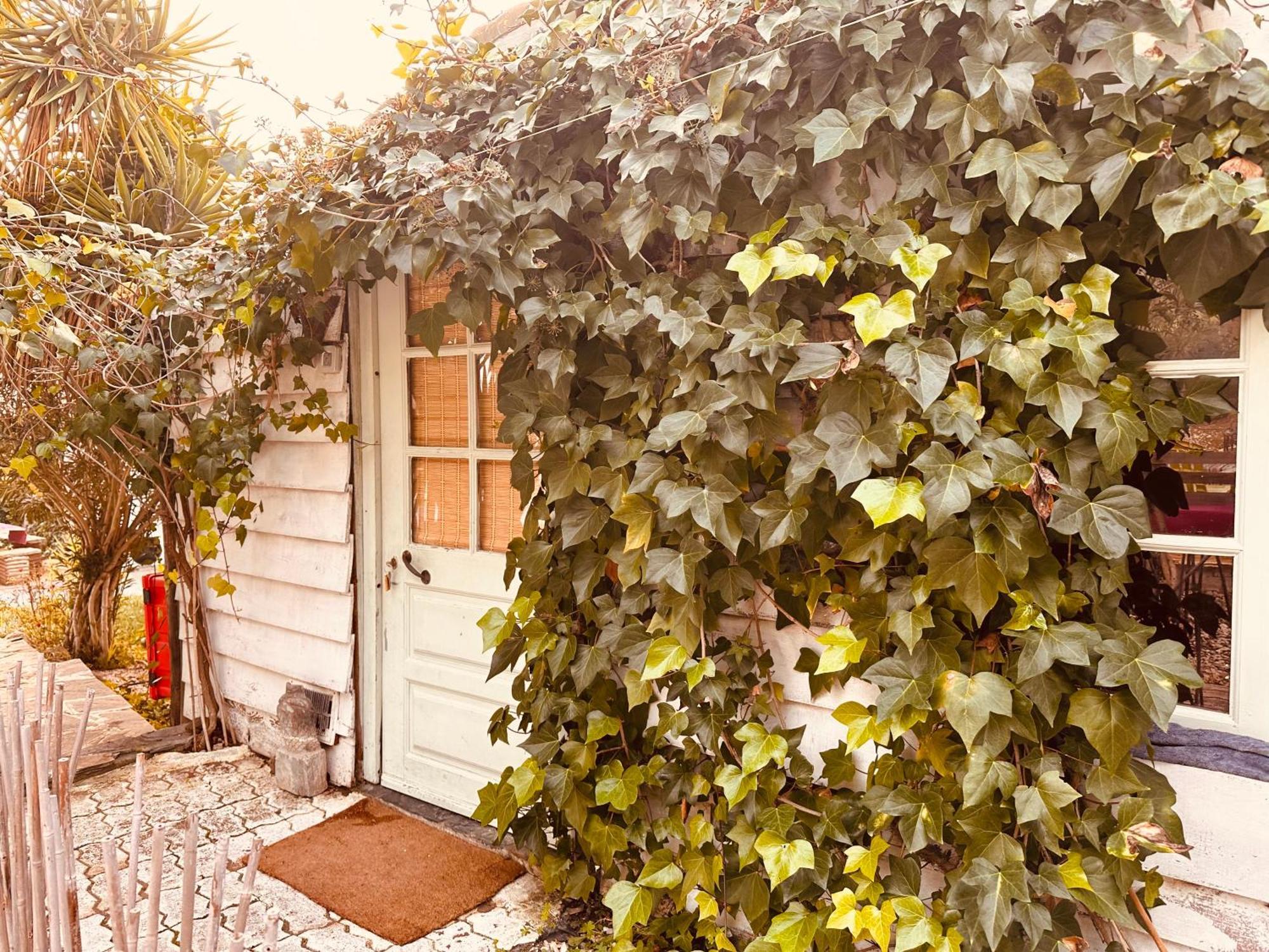 فندق Casa Rico Frade Garden São Pedro do Corval المظهر الخارجي الصورة