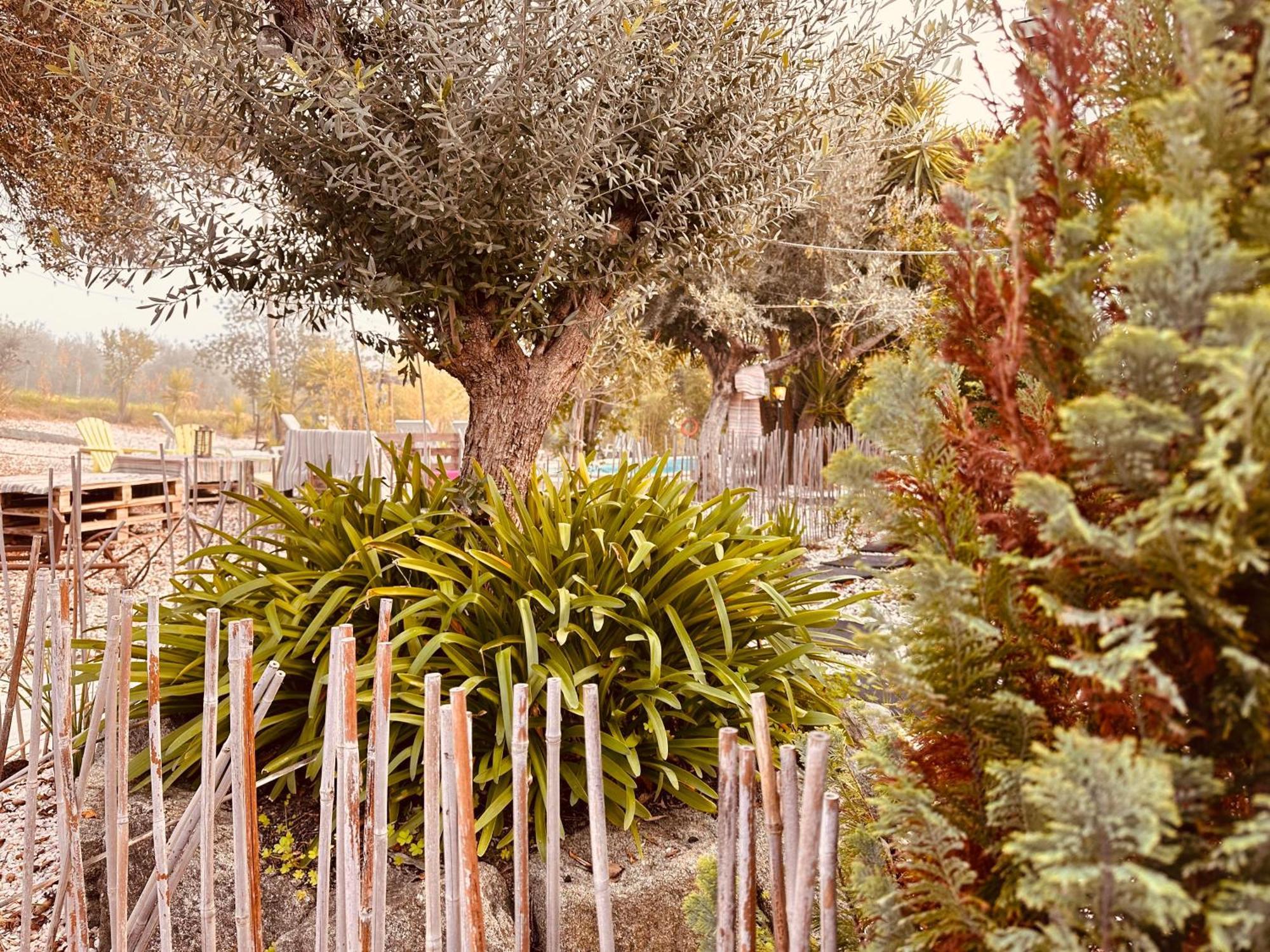 فندق Casa Rico Frade Garden São Pedro do Corval المظهر الخارجي الصورة