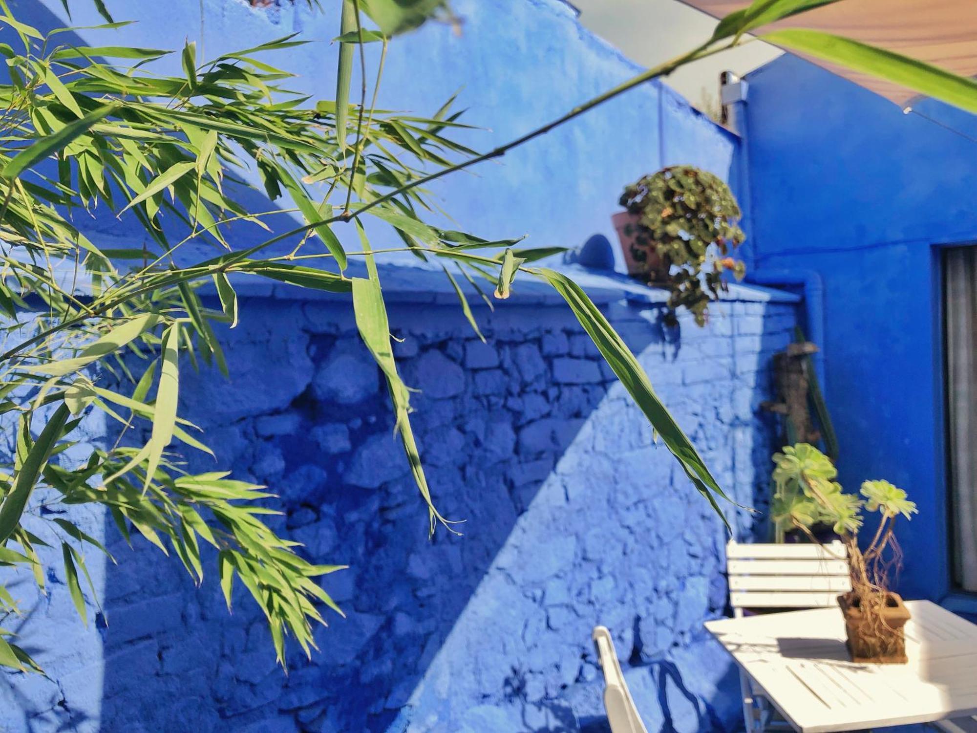 فندق Casa Rico Frade Garden São Pedro do Corval الغرفة الصورة